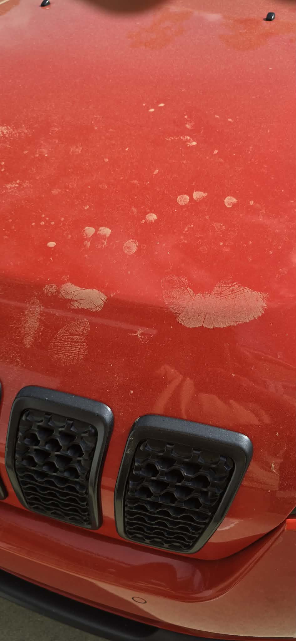 Operation Golden Dust: The Grand Strand's Pollen Forensics Program (That Definitely Exists)